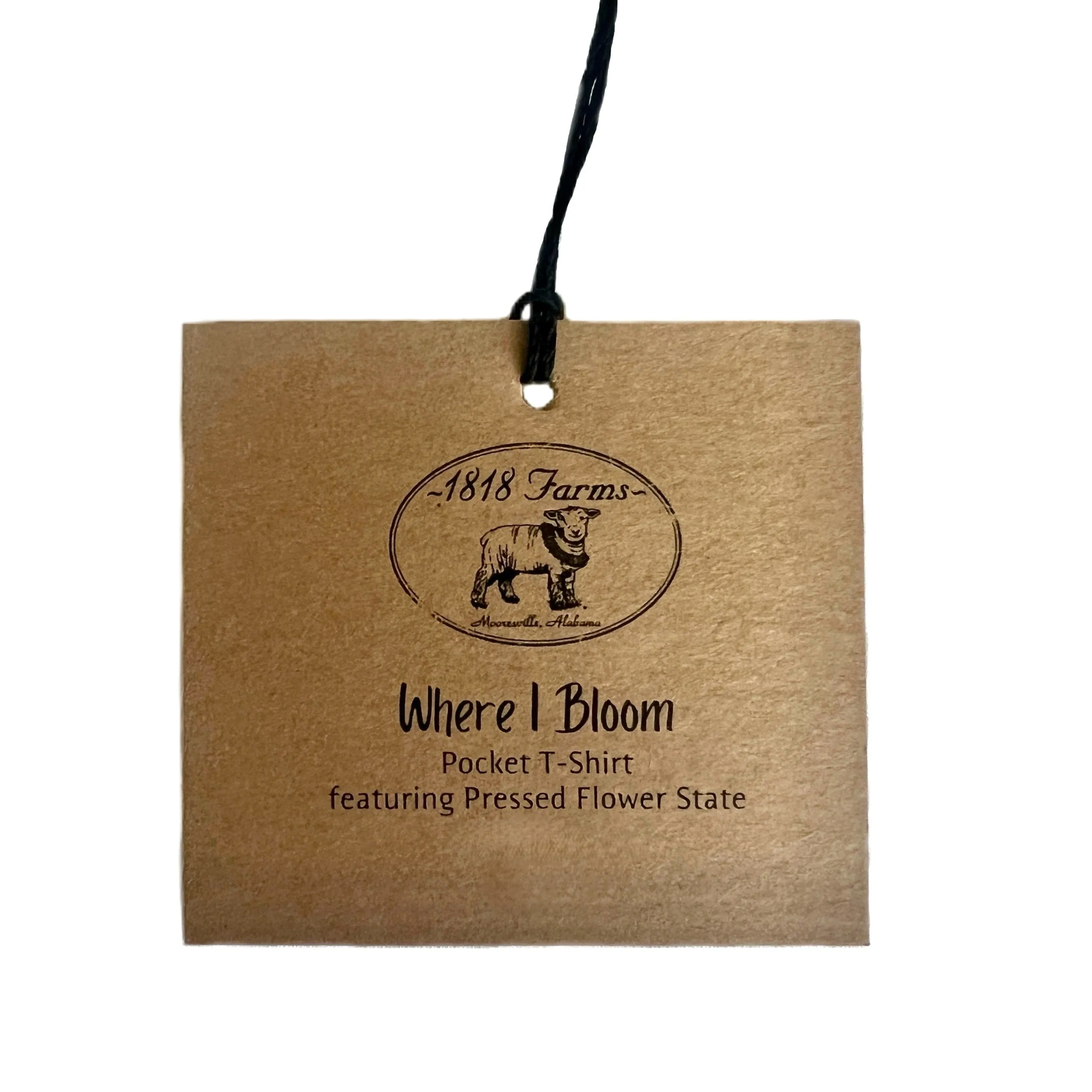 Mississippi Themed Comfort Colors Tshirt - "Where I Bloom" Collection