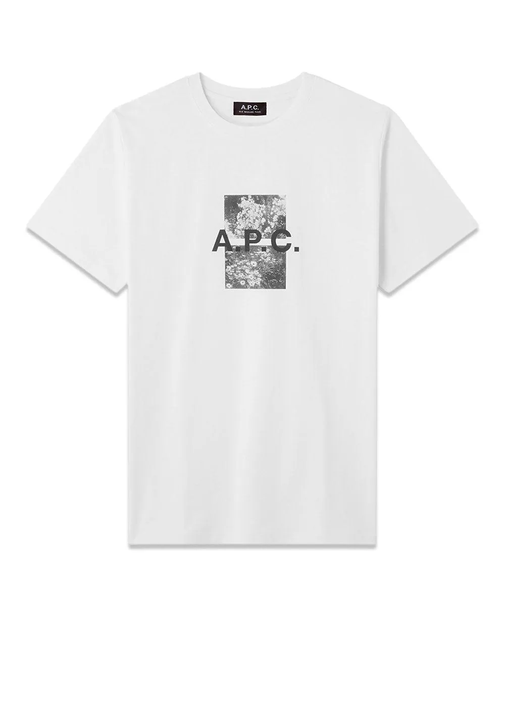 Teddy - White
